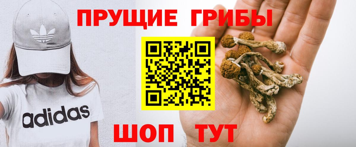 Туапсе  закладка  Вход с VPN  Галлюциногенные грибы Magic Shrooms 